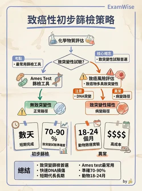 營養 - 食品安全性評估 - AI 圖文解析預覽