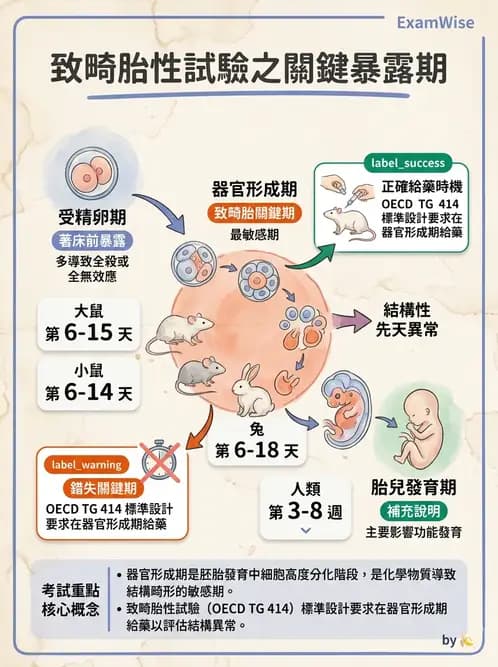 營養 - 食品安全性評估 - AI 圖文解析預覽