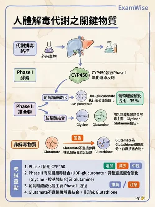 營養 - 食品安全性評估 - AI 圖文解析預覽