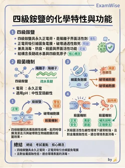 營養 - 食品用洗潔劑與殺菌消毒 - AI 圖文解析預覽