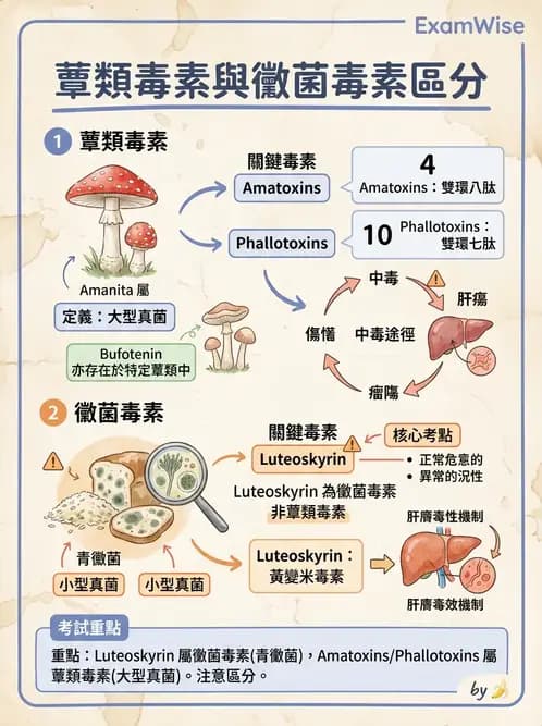 營養 - 天然毒素 - AI 圖文解析預覽