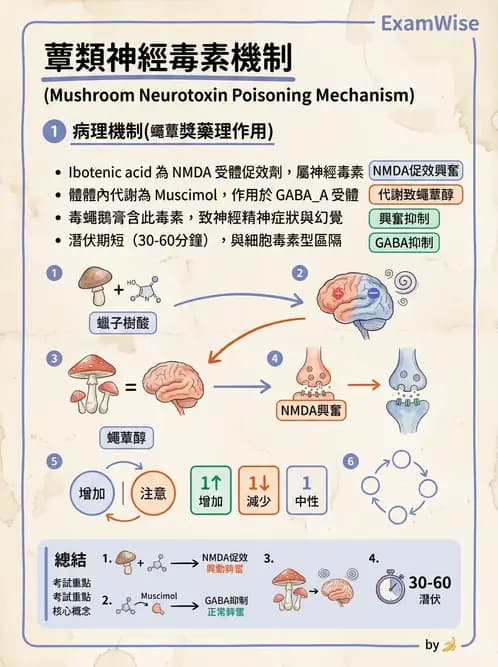 營養 - 天然毒素 - AI 圖文解析預覽