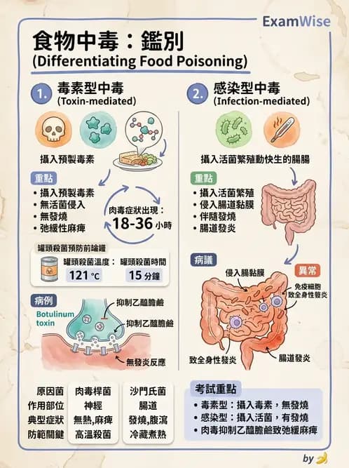 營養 - 食源性病原微生物 - AI 圖文解析預覽