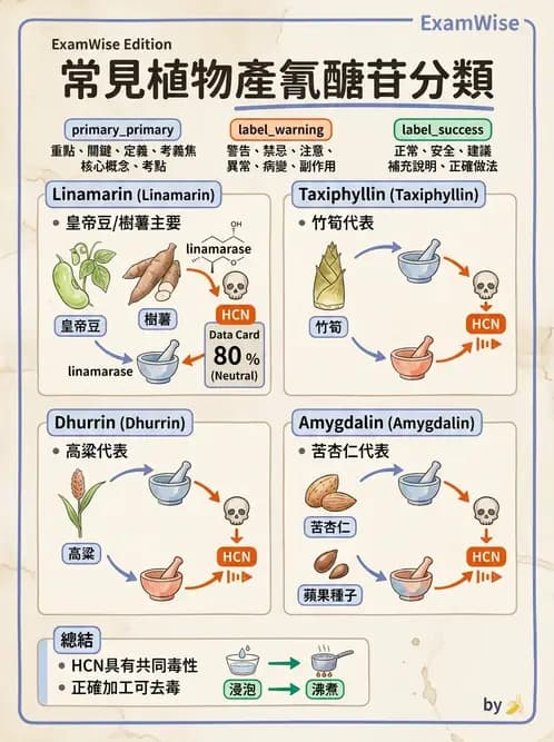 營養 - 天然毒素 - AI 圖文解析預覽