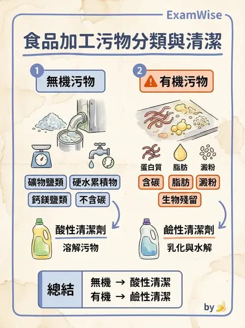 營養 - 食品用洗潔劑與殺菌消毒 - AI 圖文解析預覽