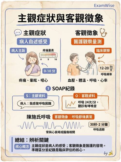 護理師 - 護理過程(評估至評值) - AI 圖文解析預覽