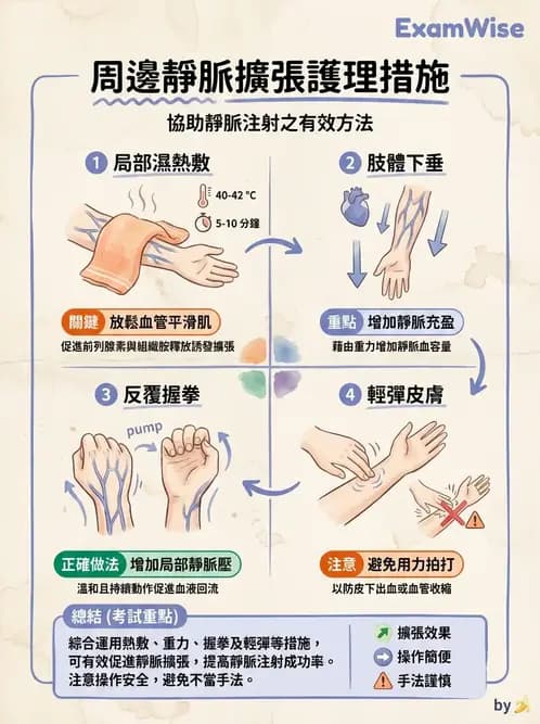 護理師 - 靜脈輸液與電解質平衡 - AI 圖文解析預覽