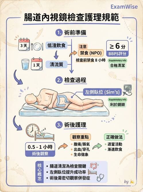 護理師 - 腸道排泄與灌腸護理 - AI 圖文解析預覽
