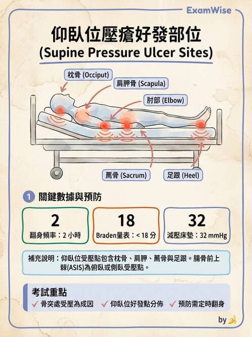 護理師 - 運動功能與傷口護理 - AI 圖文解析預覽