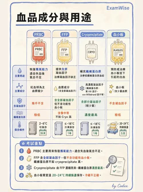 麻醉專護 - 疼痛處置與輸液輸血治療 - AI 圖文解析預覽