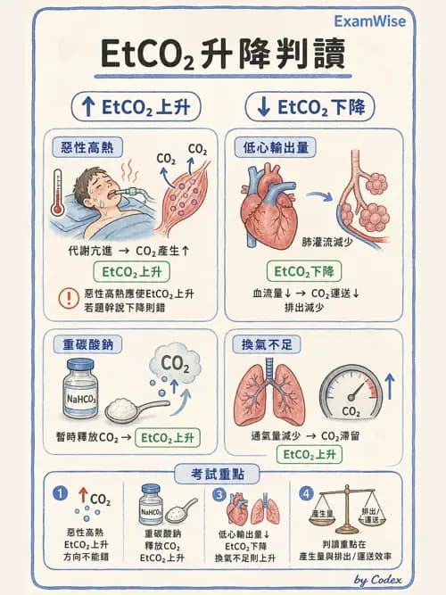 麻醉專護 - 術中生理監測技術 - AI 圖文解析預覽
