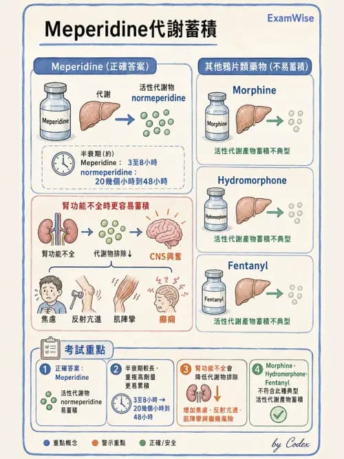 麻醉專護 - 麻醉藥物藥理與肌肉鬆弛劑 - AI 圖文解析預覽