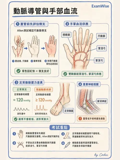 麻醉專護 - 術中生理監測技術 - AI 圖文解析預覽