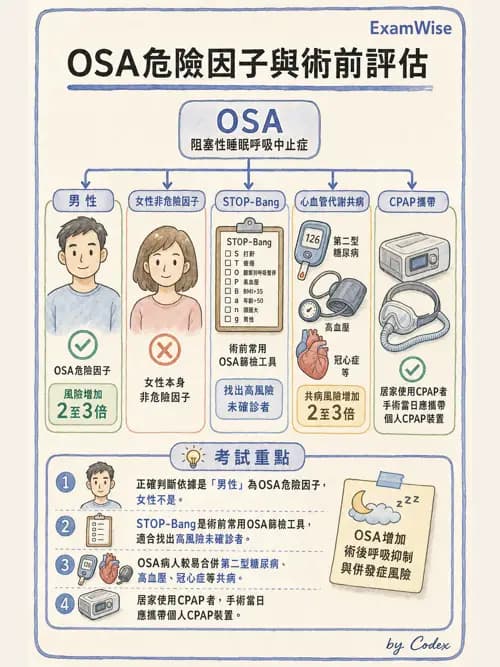 麻醉專護 - 呼吸系統疾病術前評估 - AI 圖文解析預覽