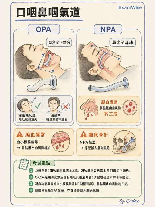 麻醉專護 - 呼吸道評估與處置 - AI 圖文解析預覽