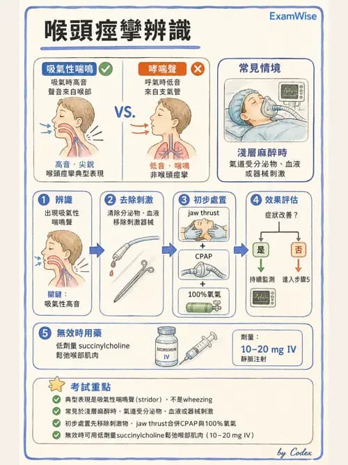 麻醉專護 - 喉痙攣與呼吸道相關併發症 - AI 圖文解析預覽