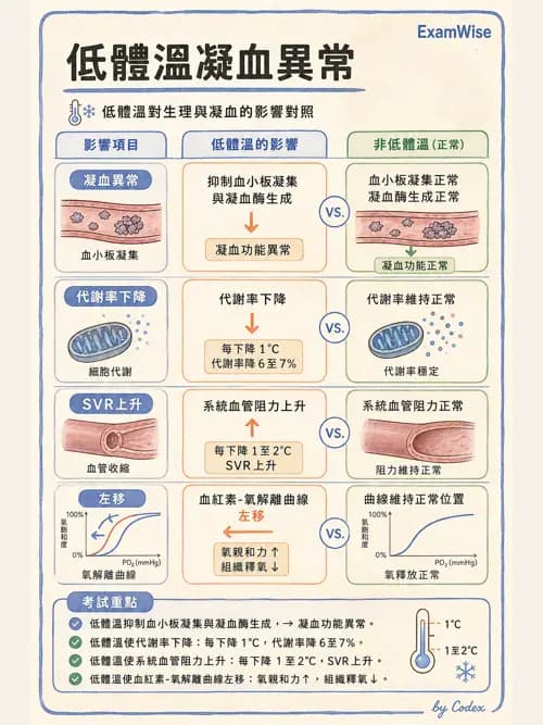 麻醉專護 - 體溫調節與大量輸血 - AI 圖文解析預覽