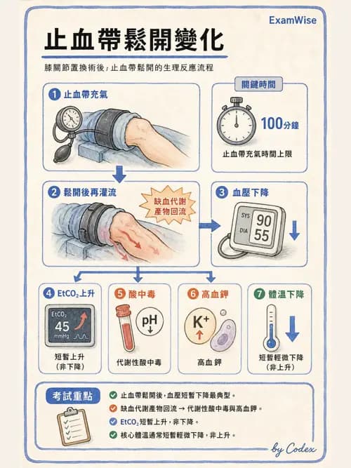 麻醉專護 - 手術體位、止血帶與周邊神經損傷 - AI 圖文解析預覽
