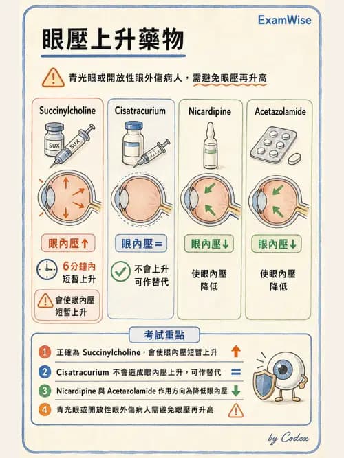 麻醉專護 - 頭頸/耳鼻喉/眼科手術麻醉 - AI 圖文解析預覽