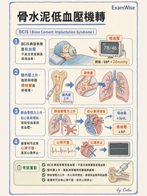 麻醉專護 - 骨科手術麻醉 - AI 圖文解析預覽