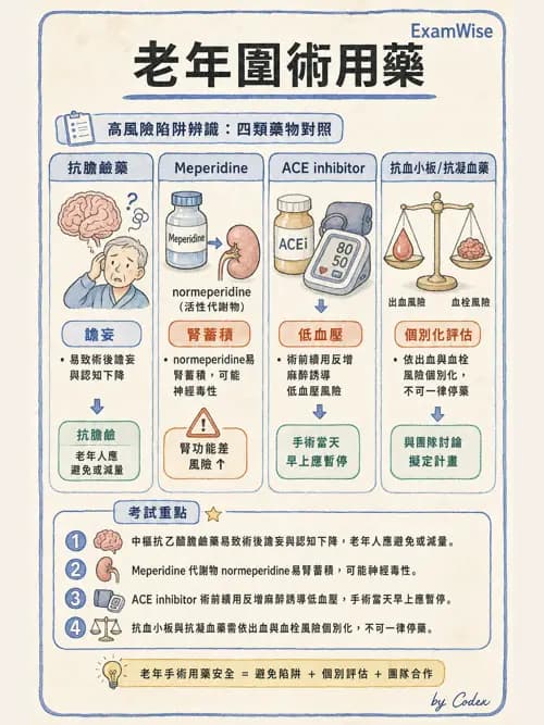 麻醉專護 - 老年麻醉 - AI 圖文解析預覽