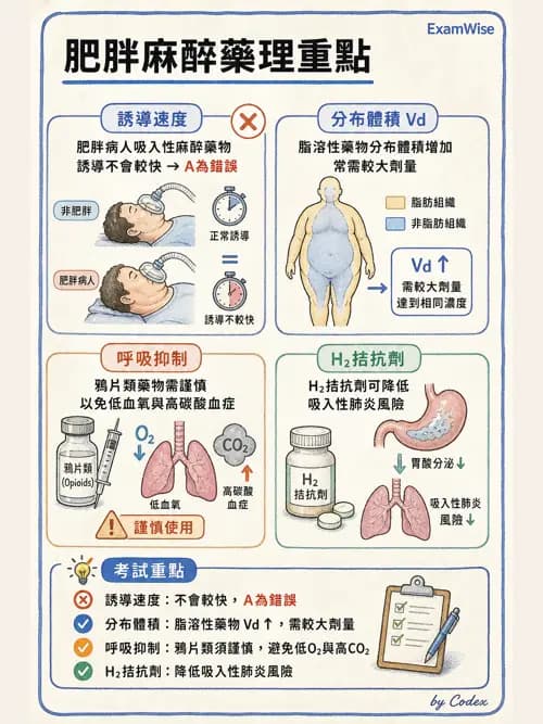 麻醉專護 - 肥胖與減重手術麻醉 - AI 圖文解析預覽