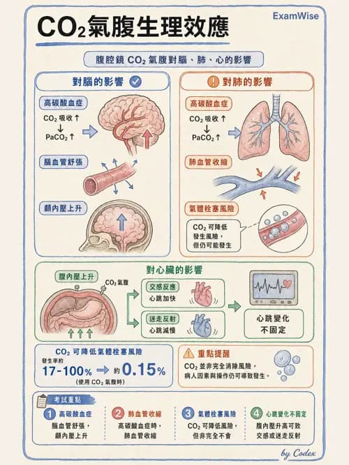 麻醉專護 - 泌尿/婦科/機器人腹腔鏡手術麻醉 - AI 圖文解析預覽