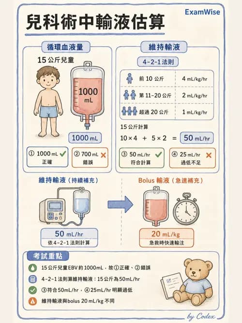 麻醉專護 - 小兒麻醉 - AI 圖文解析預覽