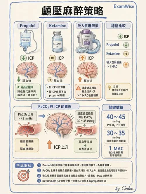 麻醉專護 - 神經外科與脊椎手術麻醉 - AI 圖文解析預覽