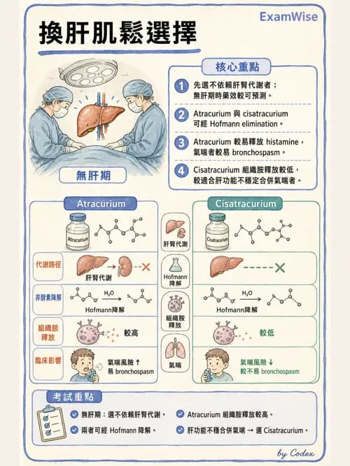 麻醉專護 - 器官移植與腦死捐贈麻醉 - AI 圖文解析預覽
