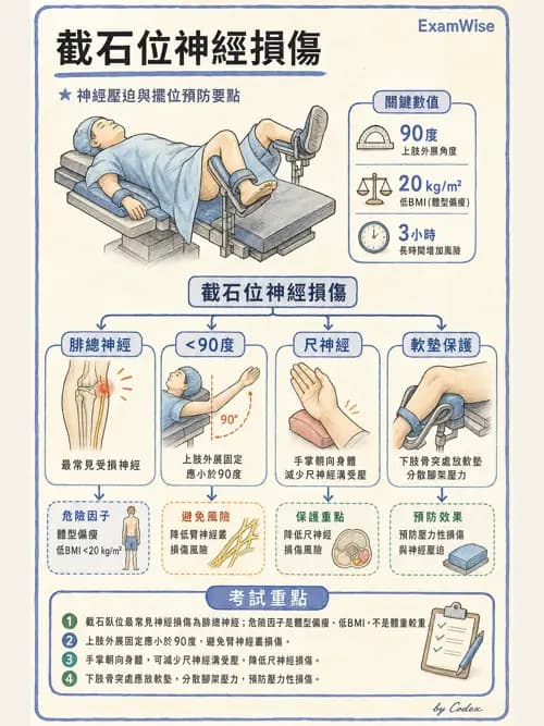 麻醉專護 - 手術體位、止血帶與周邊神經損傷 - AI 圖文解析預覽