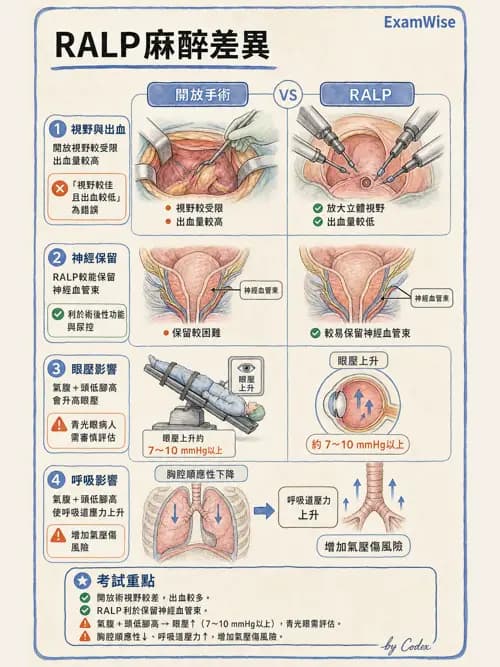 麻醉專護 - 泌尿/婦科/機器人腹腔鏡手術麻醉 - AI 圖文解析預覽