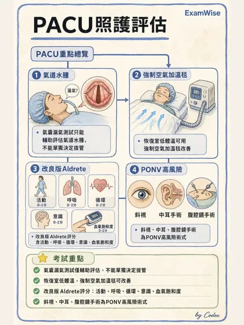 麻醉專護 - PACU照護、PONV與術後寒顫 - AI 圖文解析預覽