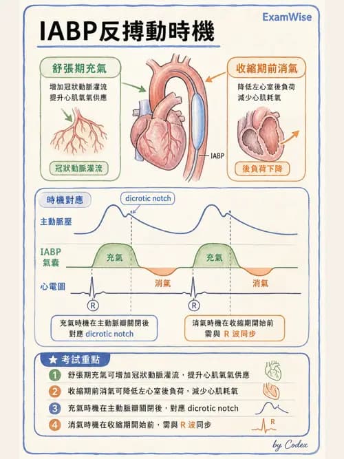 麻醉專護 - 心臟手術與體外循環麻醉 - AI 圖文解析預覽