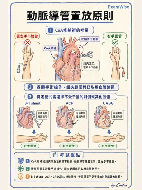 麻醉專護 - 心臟手術與體外循環麻醉 - AI 圖文解析預覽