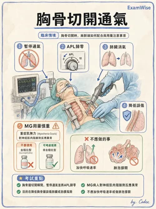 麻醉專護 - 腹部一般外科與胸腔手術麻醉 - AI 圖文解析預覽