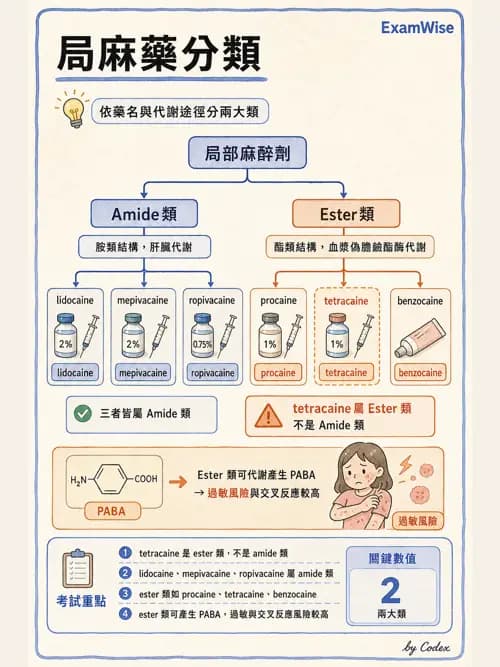 LAST - 局部麻醉藥與全身毒性反應 - AI 圖文解析預覽