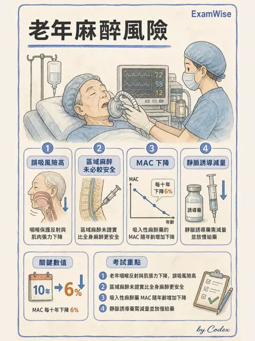 麻醉專護 - 老年麻醉 - AI 圖文解析預覽