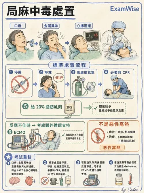 LAST - 局部麻醉藥與全身毒性反應 - AI 圖文解析預覽