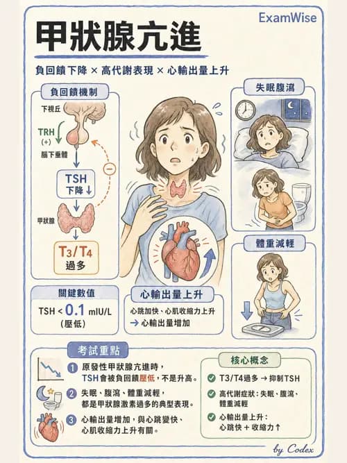 麻醉專護 - 內分泌與代謝疾病評估 - AI 圖文解析預覽