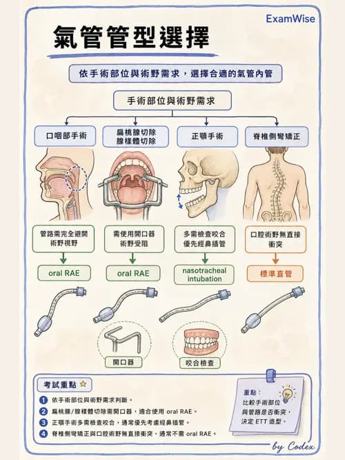 麻醉專護 - 呼吸道評估與處置 - AI 圖文解析預覽