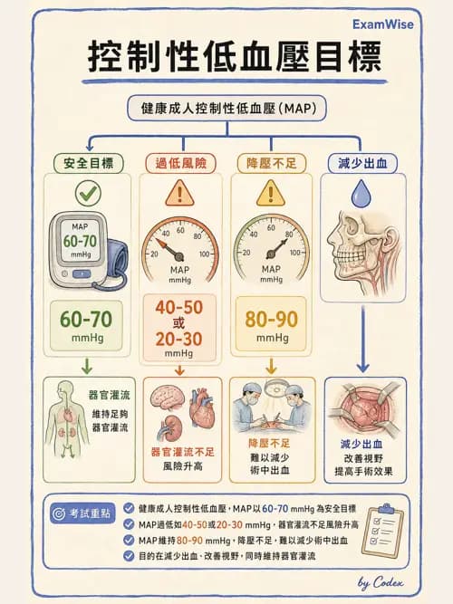 麻醉專護 - 區域麻醉與術中麻醉技巧 - AI 圖文解析預覽