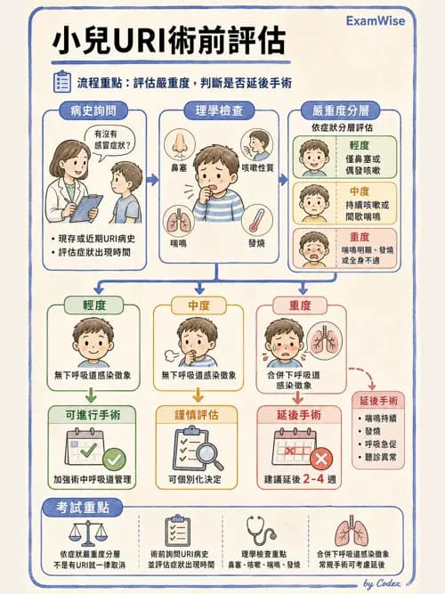 麻醉專護 - 各科手術與特殊族群麻醉 - AI 圖文解析預覽