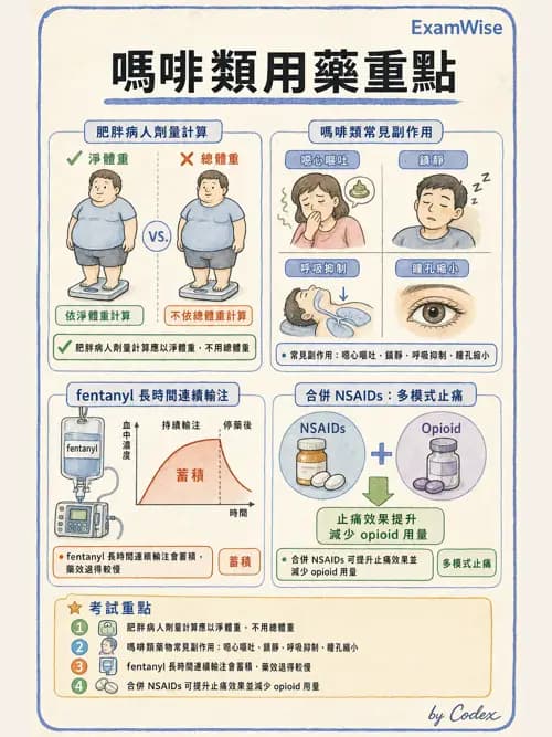 麻醉專護 - 止痛藥物與安寧緩和照護基礎 - AI 圖文解析預覽