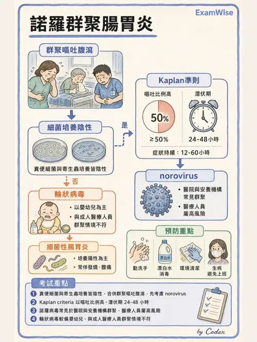 麻醉專護 - 感染症、發燒與抗生素 - AI 圖文解析預覽