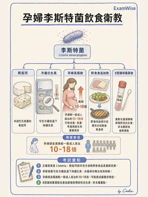 麻醉專護 - 感染症、發燒與抗生素 - AI 圖文解析預覽