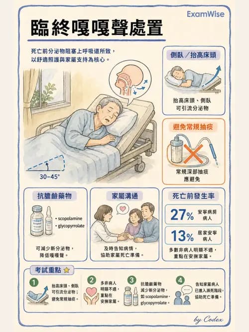 麻醉專護 - 止痛藥物與安寧緩和照護基礎 - AI 圖文解析預覽