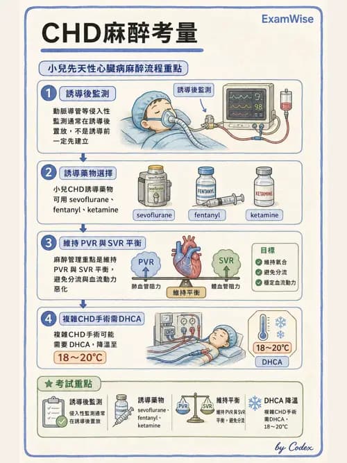麻醉專護 - 小兒麻醉 - AI 圖文解析預覽