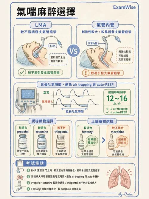 麻醉專護 - 鎮靜安眠藥、吸入性麻醉藥與TIVA - AI 圖文解析預覽