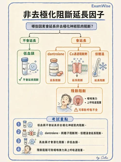 麻醉專護 - 肌肉鬆弛劑與拮抗劑 - AI 圖文解析預覽